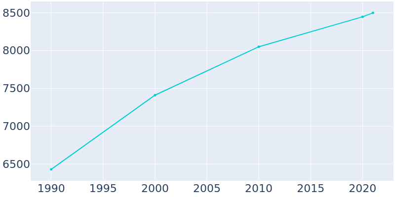 Population Graph For Arab, 1990 - 2022