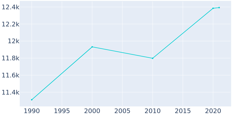 Population Graph For Patchogue, 1990 - 2022