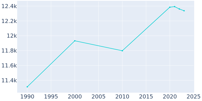 Population Graph For Patchogue, 1990 - 2022