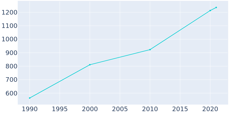 Population Graph For Rice, 1990 - 2022