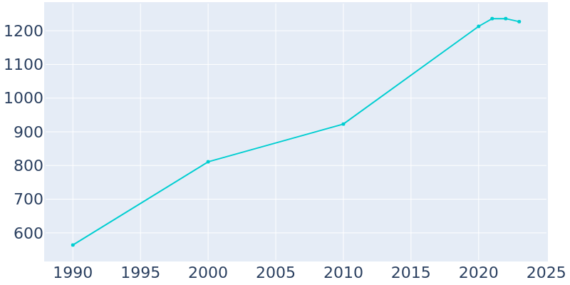 Population Graph For Rice, 1990 - 2022